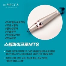 닥터메카 Dr. MECCA 스템마이크로MTS 니들 (50개)